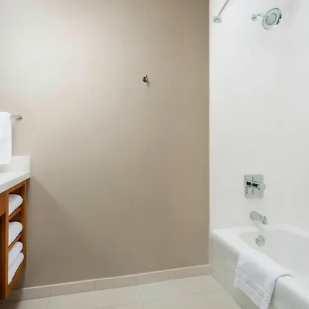 Springhill Suites By Marriott San Diego Mission Valley-2